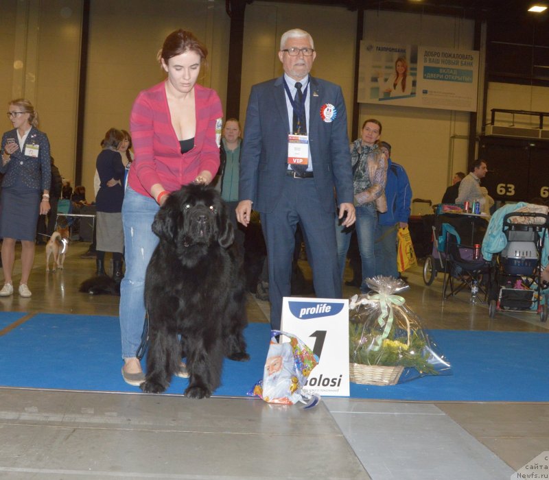 Фотография № 240634