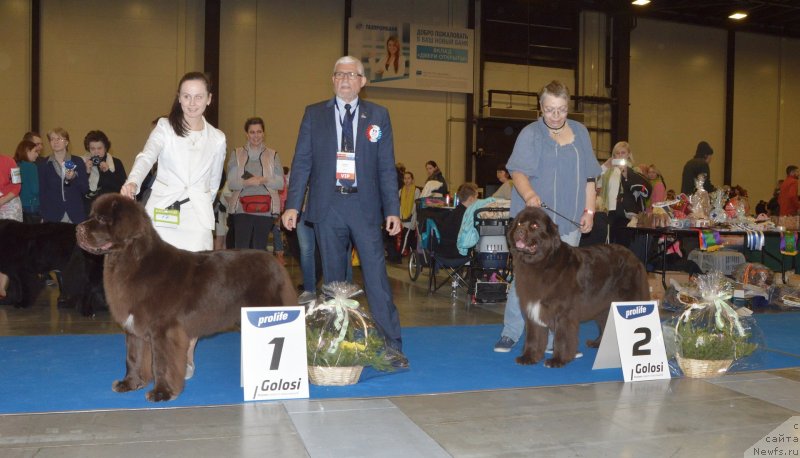 Фотография № 240635