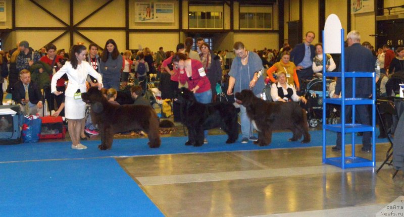 Фотография № 240636