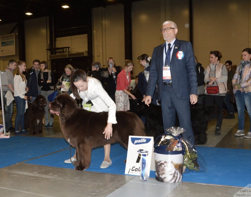 Фотография № 240637