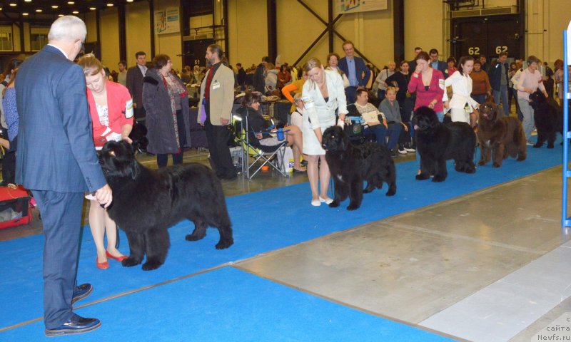 Фотография № 240639