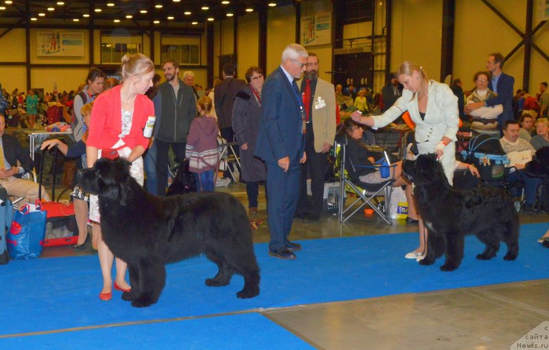 Фотография № 240640