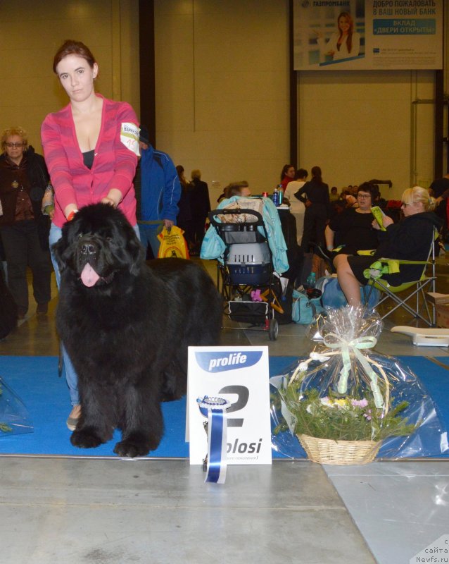 Фотография № 240641