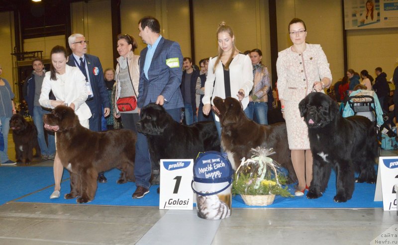 Фотография № 240643