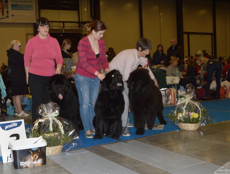 Фотография № 240645