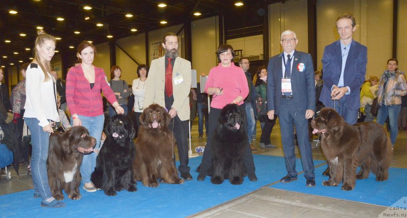 Фотография № 240646