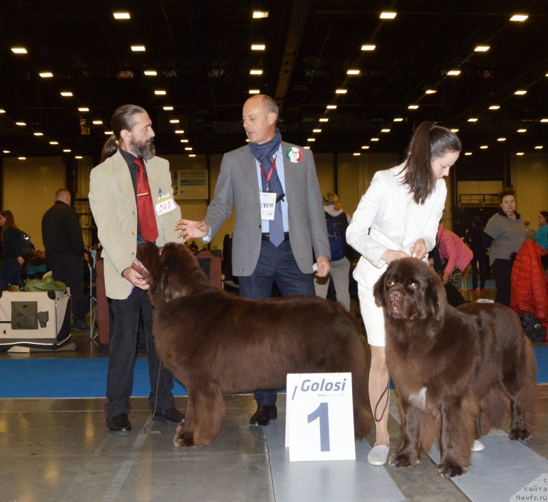 Фотография № 240647