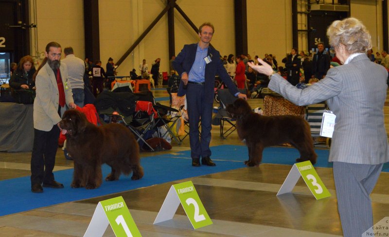 Фотография № 240649