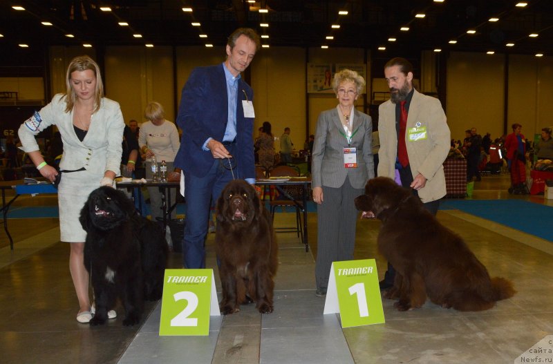 Фотография № 240653