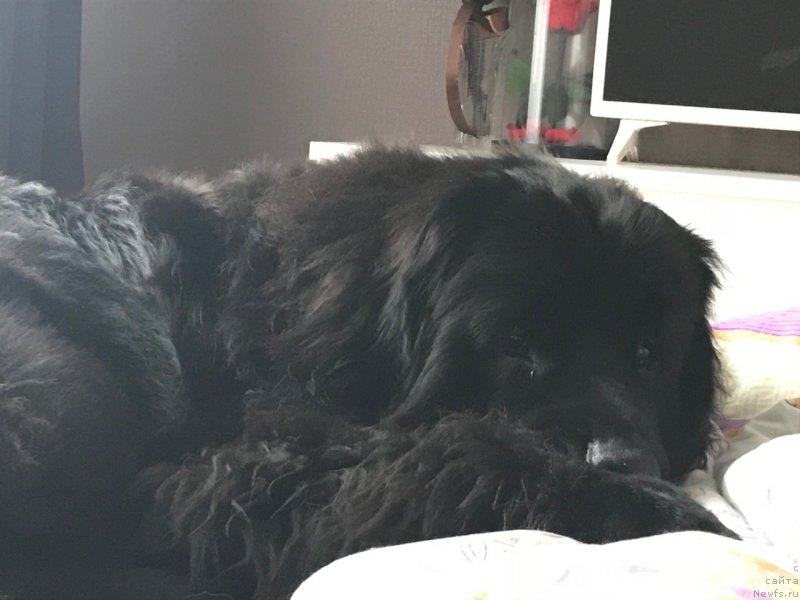 Фотография № 240675