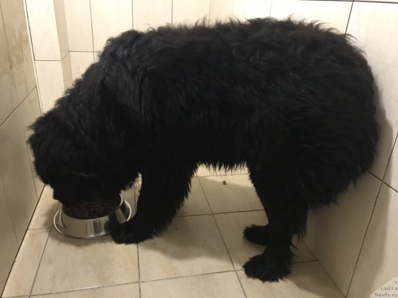 Фотография № 240676