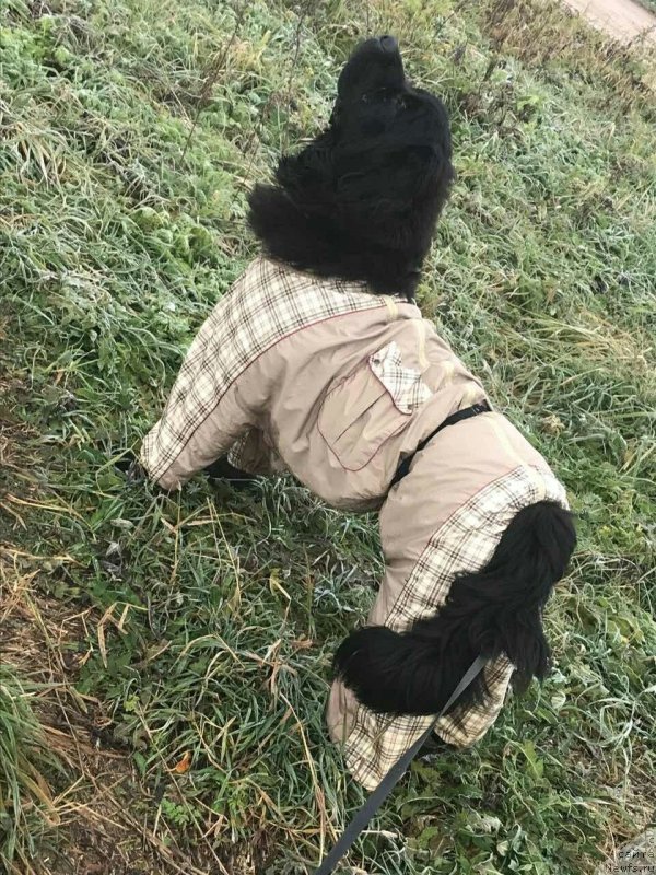 Фотография № 240677