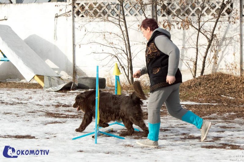 Фотография № 240678