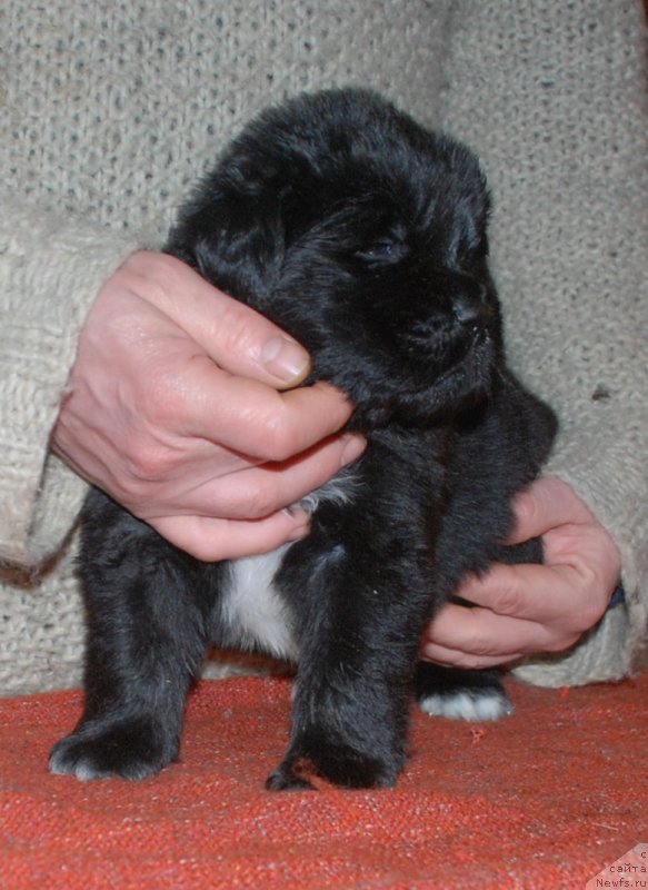 Фотография № 240689