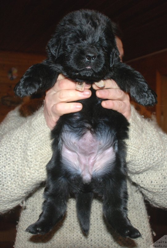 Фотография № 240691