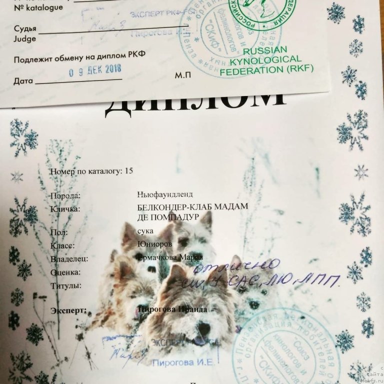 Фотография № 240708