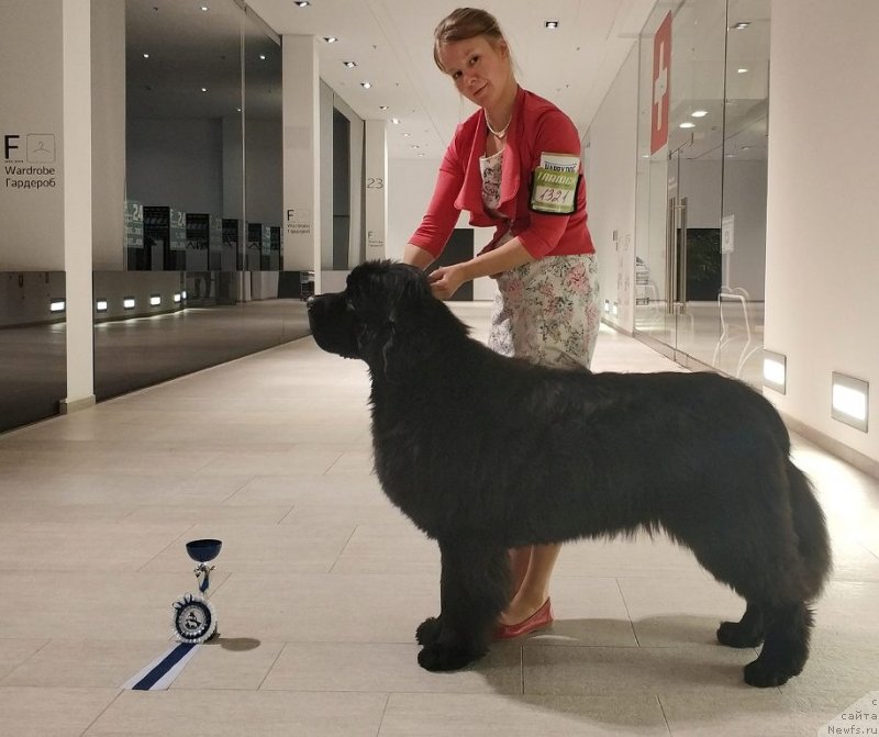 Фотография № 240710