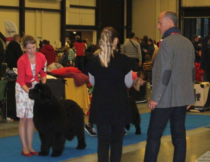 Фотография № 240711