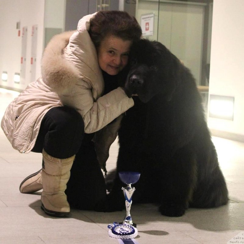 Фотография № 240712