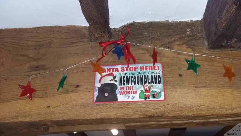 Фотография № 240785