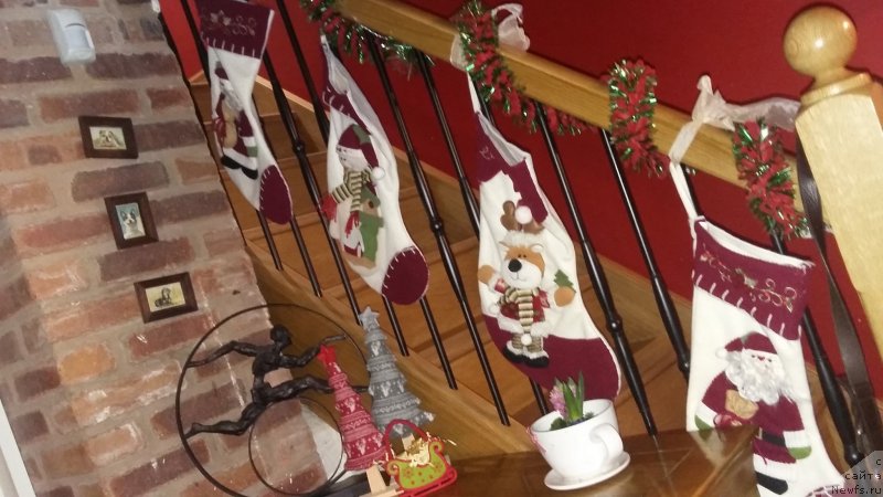 Фотография № 240786