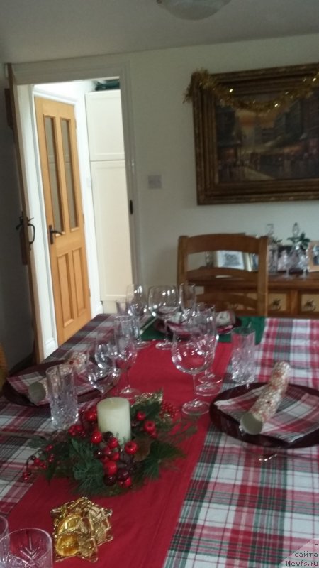 Фотография № 240788