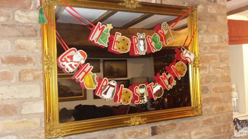 Фотография № 240790