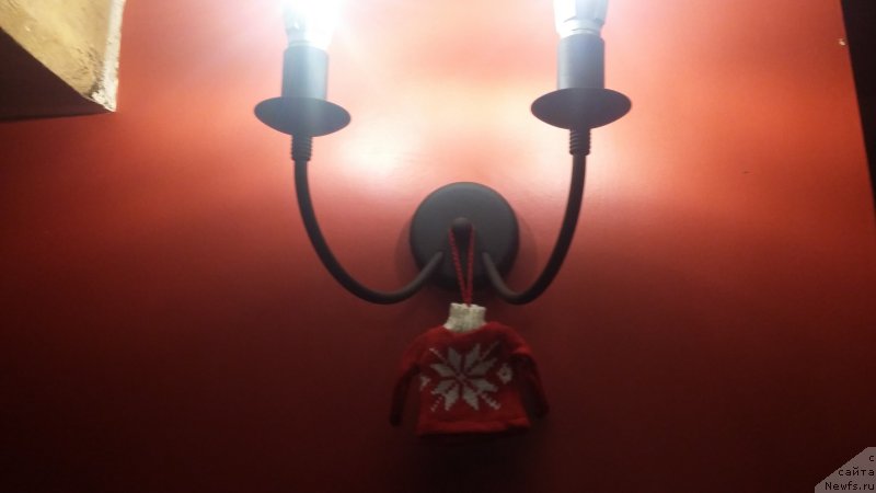 Фотография № 240791