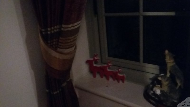 Фотография № 240792