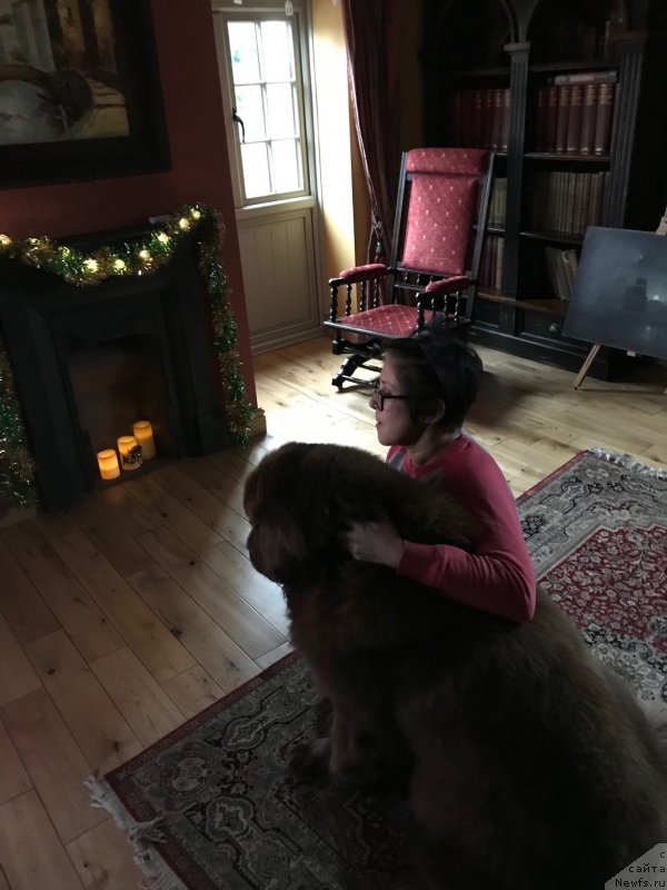 Фотография № 240794