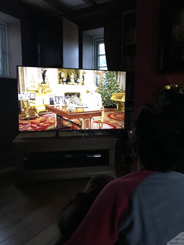 Фотография № 240795