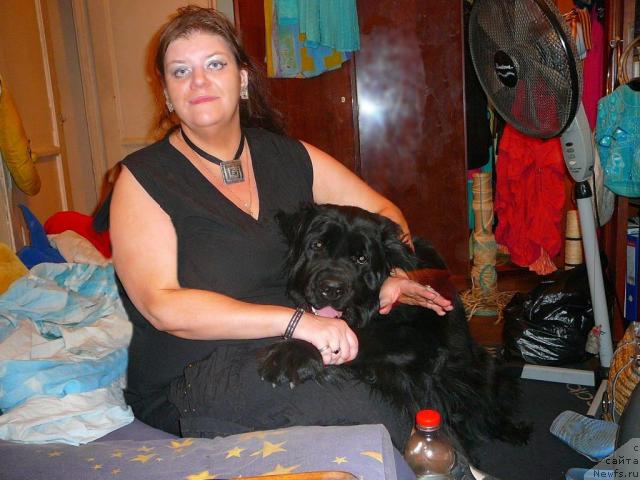 Фото: ньюфаундленд Плюшевая Панда Габриэла, Александра Поскрёбышева