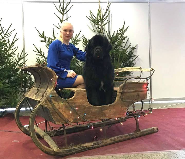 Фотография № 240806