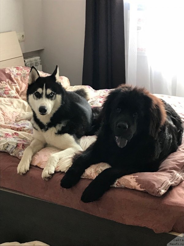 Фотография № 240837