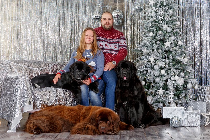 Фотография № 240843