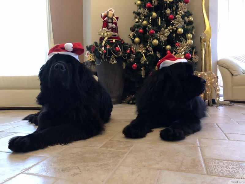 Фотография № 240872