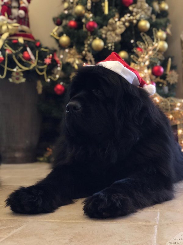 Фотография № 240873