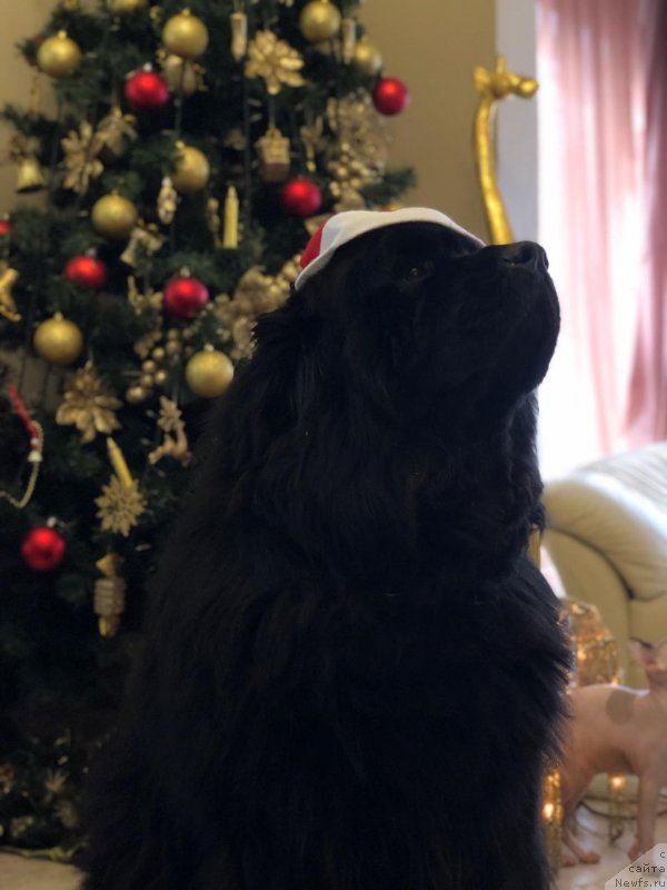 Фотография № 240874