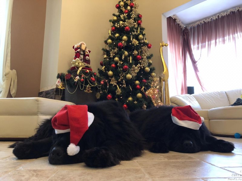 Фотография № 240876