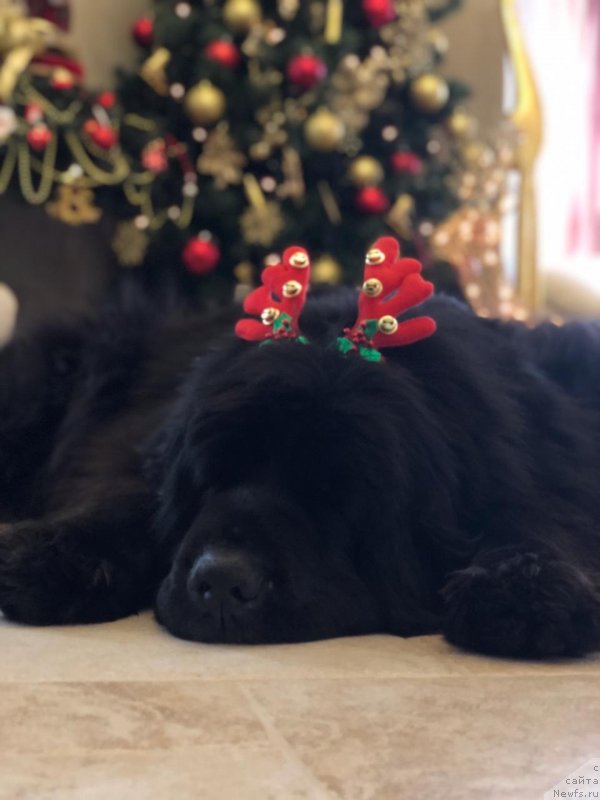 Фотография № 240877