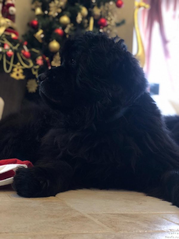 Фотография № 240878