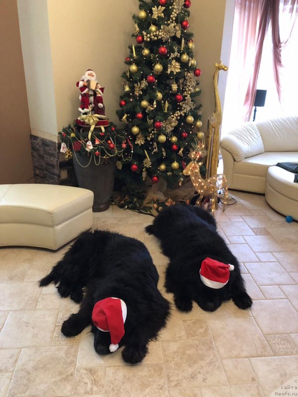 Фотография № 240879