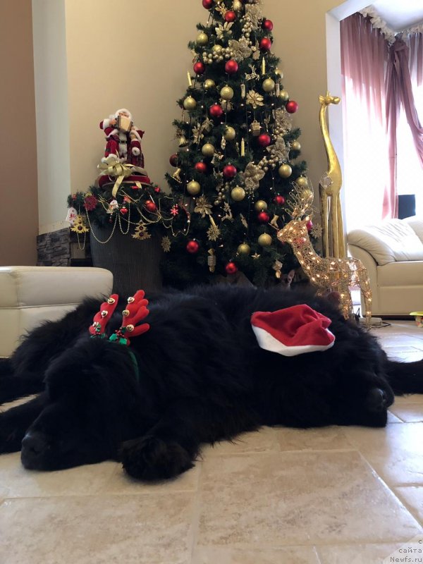 Фотография № 240880