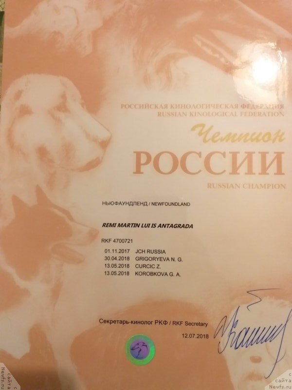 Фотография № 240881