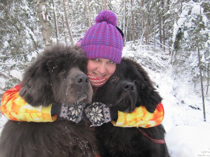 Фотография № 240884