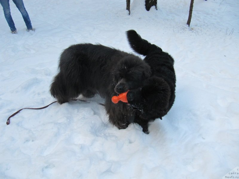 Фотография № 240891