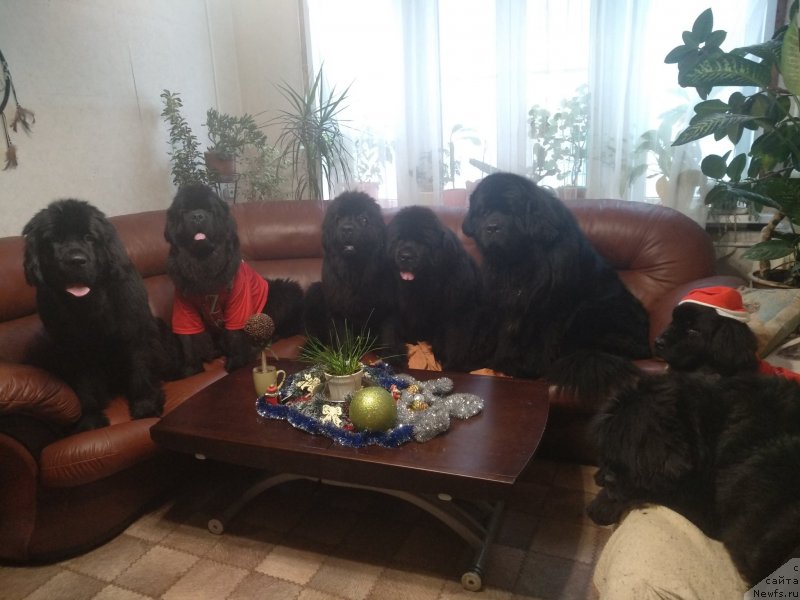 Фотография № 240894