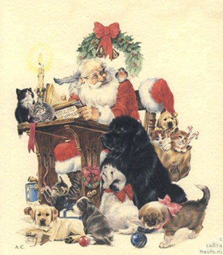 Фотография № 240897