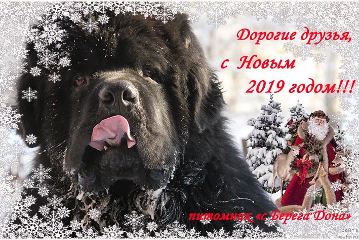 Фотография № 240944