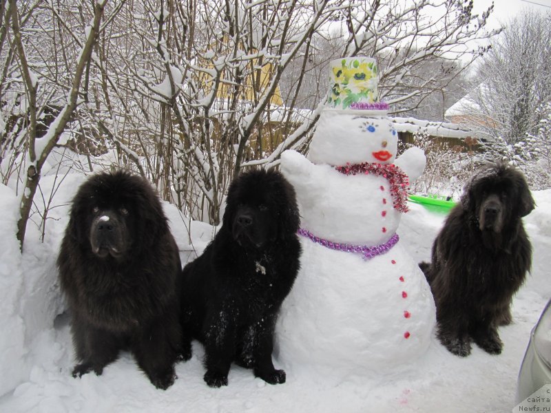 Фотография № 240945